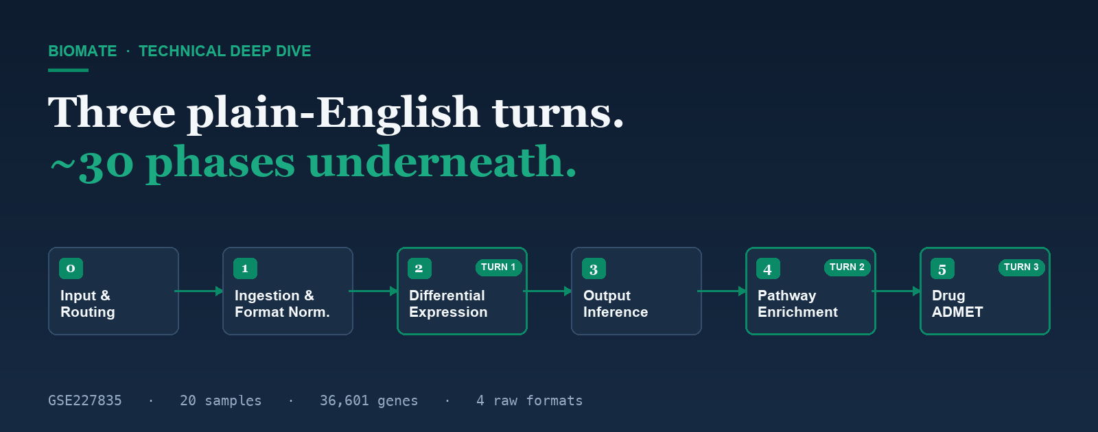 BioMate pipeline schematic: three plain-English turns fan out into ~30 backend phases across six stages — input, ingestion, differential expression, output inference, enrichment, and ADMET — run on GSE227835